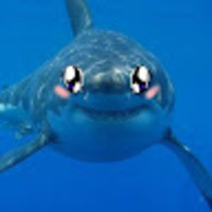 Meet your Posher, Jalaal